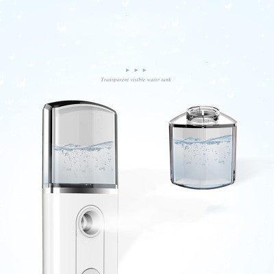 Mini Facial Humidifier 