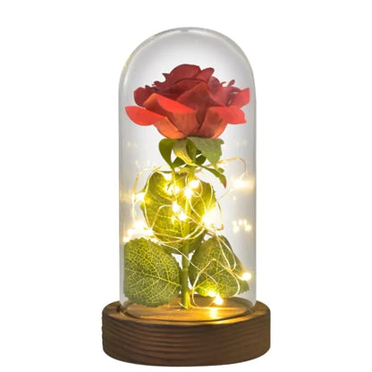 Beauty and The Beast Preserved Roses