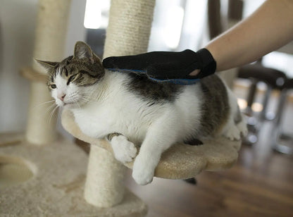 Anti-Hair Grooming Glove for Pets