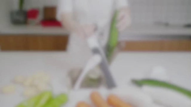 Vegetable Slicer Machine 