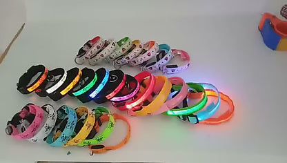 LED Dog Collar