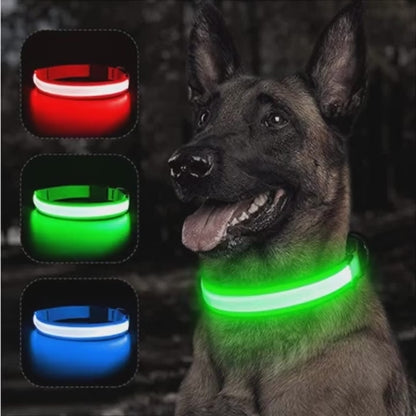 Led Dog Collar