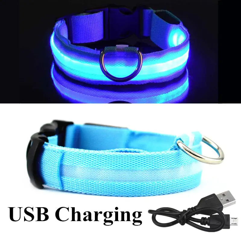 Led Dog Collar